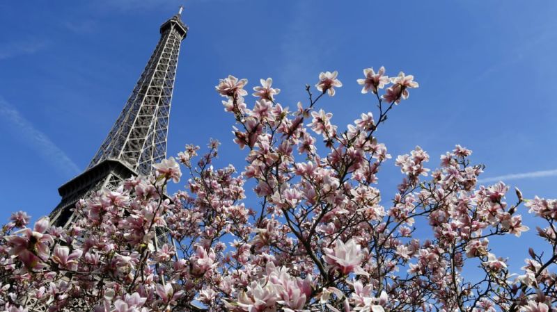 5 destinos ideales para visitar en abril | cnn