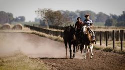 CNNE 511179 - la hipica de argentina en el gran premio latinoamericano