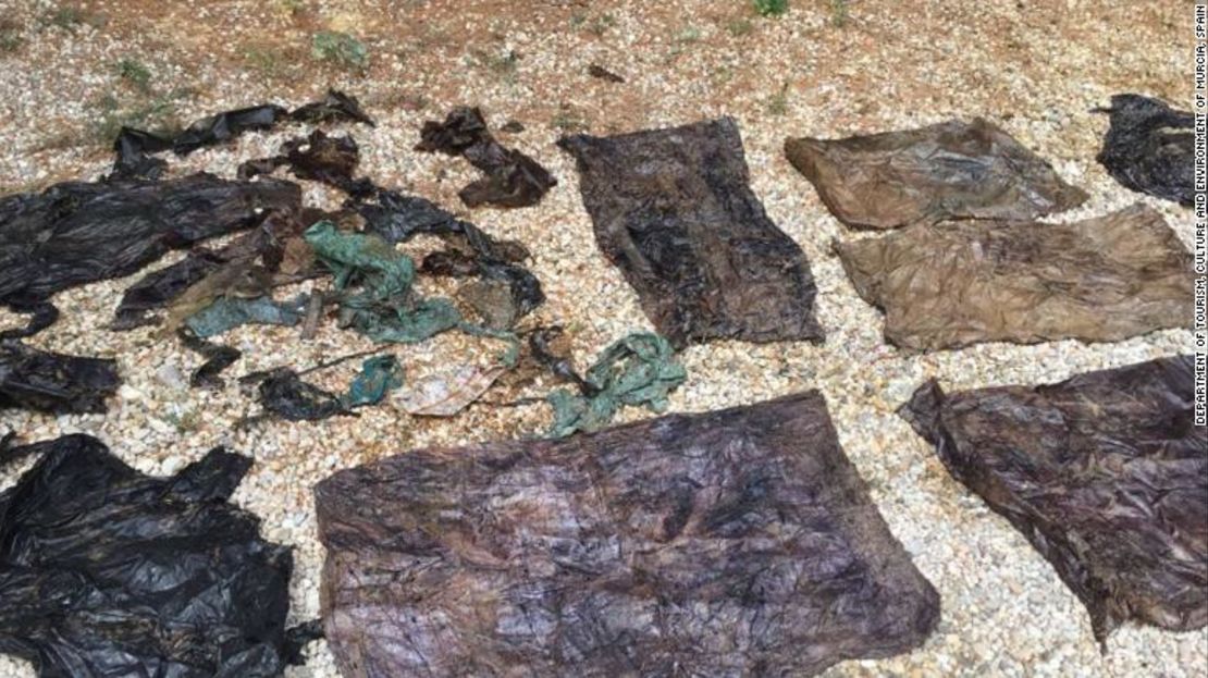 29 kilos de plástico y desechos encontrados en el estómago de un cachalote muerto en España