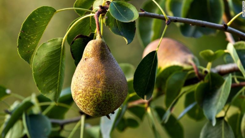 En las peras se encontraron muchos pesticidas en altas concentraciones. Más de la mitad de todas las peras tenían residuos de cinco o más pesticidas.