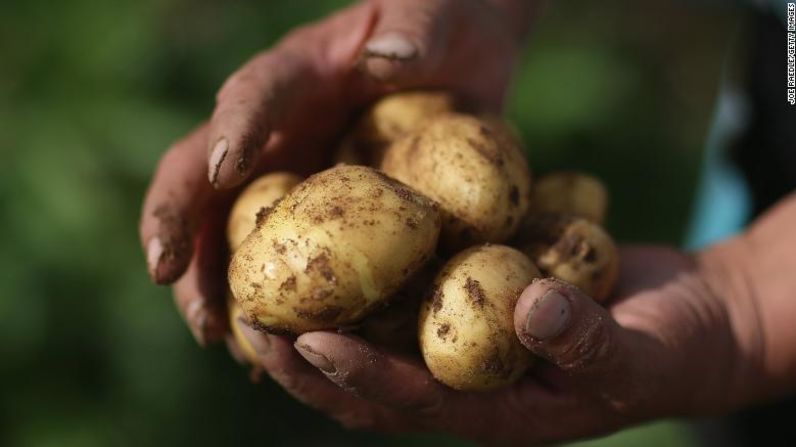 Las papas contenían más residuos de pesticidas que ningún otro cultivo en relación a su peso. Las papas acaban de pasar de la décima posición a la undécima este año.