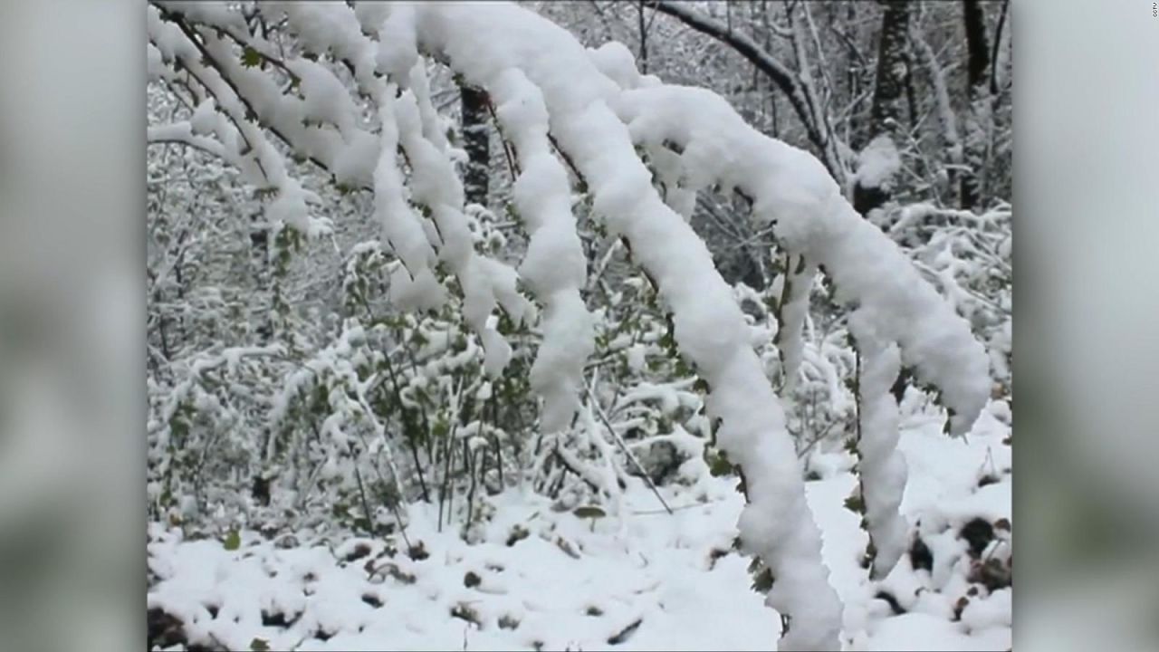 CNNE 515521 - #laimagendeldia- la nieve cubre reserva en china