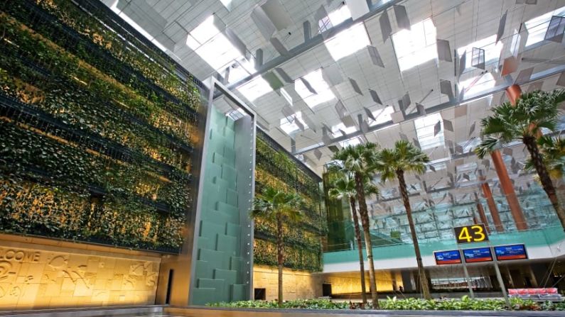 La pared verde de Changi: la pared verde del aeropuerto Changi de Singapur, que se encuentra en la terminal tres, es el jardín vertical más grande del mundo. Mide 300 metros por 14 metros y contiene más de 10.000 plantas.