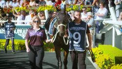 CNNE 520214 - prestigio y festejos rodean el queen elizabeth stakes