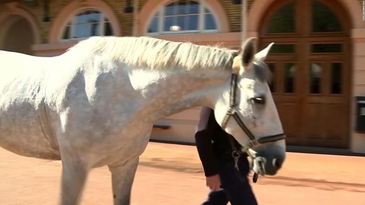 CNNE 520382 - estos caballos escoltaran al principe enrique y meghan markle en su boda