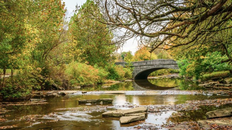 Aire puro: Los parques Frederick Law Olmsted son perfectos para disfrutar del aire libre. La reconocida firma de arquitectura paisajista diseñó 18 parques y seis paseos en Louisville, incluido el Cherokee Park, que sale en la foto. Crédito: Shutterstock