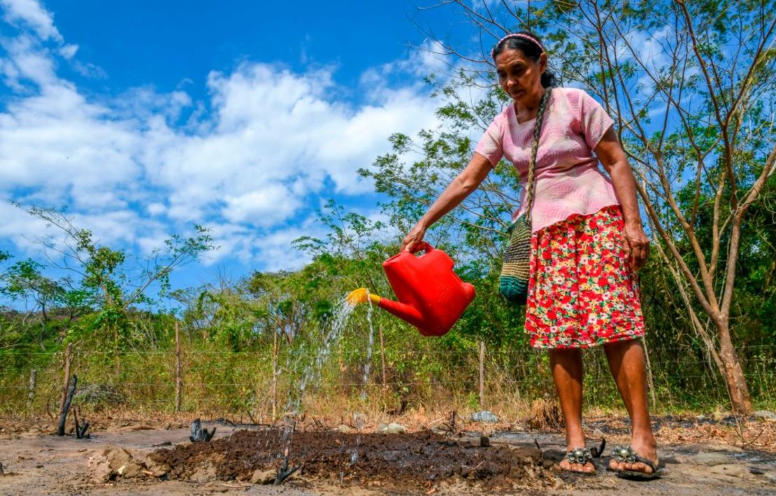 CNNE 522464 - colombia-environment-guaimaro