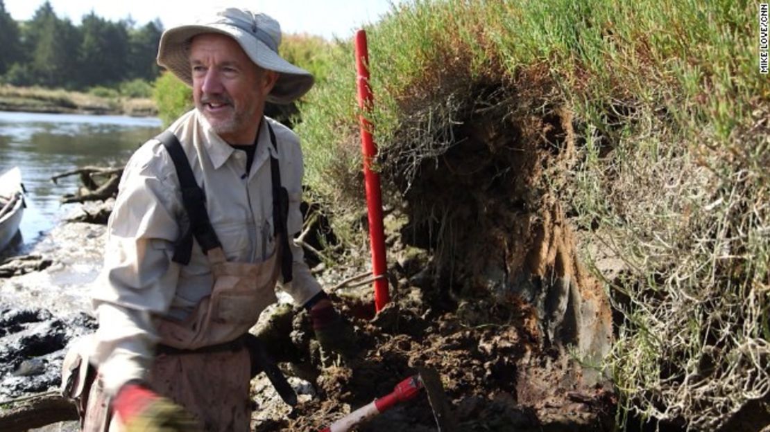 El geólogo Brian Atwater muestra un legado de la ruptura de la Cascadia en 1700: Esta creó un tsunami cuyo impacto está marcado hoy en día mediante una capa de arena sobre lo que era el suelo del bosque, en un banco cerca de Copalis Beach, Washington.