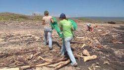 CNNE 528791 - en el 2050 habra mas plastico que peces en el oceano, segun el fmi