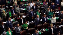 CNNE 533847 - diputados en argentina aprueban proyecto de ley de legalizacion del aborto