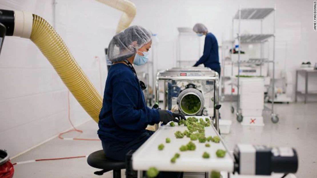 La industria de la marihuana está lista para el cambio con la aprobación en el Senado de C-45.