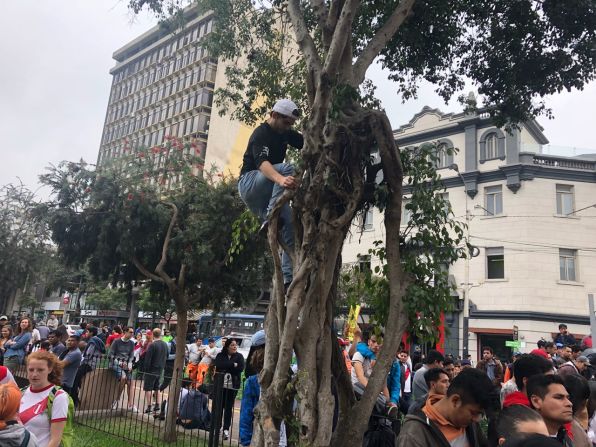 Los fanáticos del fútbol treparon a los árboles en el parque Miraflores de Lima para ver al seleccionado peruano que en primer tiempo perdía 1-0 frente a Francia.