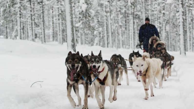 2. Finlandia. Conocida por su naturaleza nevada, Finlandia también obtuvo 93 puntos y quedó en segundo lugar. El país también estaba en lo más alto en la clasificación de Países más Felices del mundo.