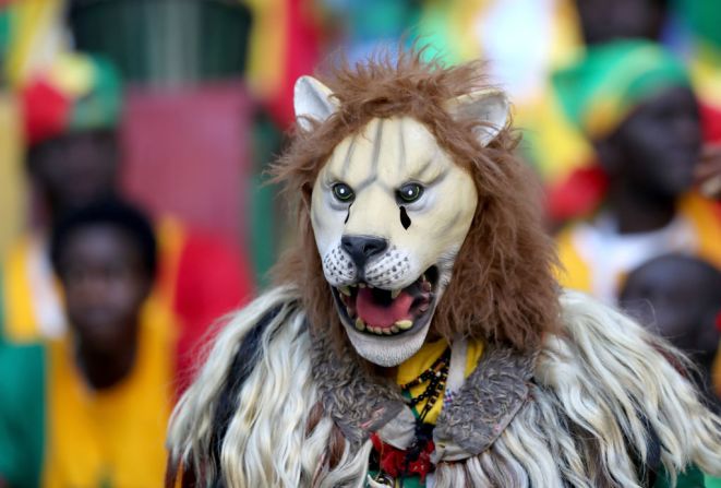 Los leones senegaleses llegan al Samara Arena para apoyar a su equipo frente Colombia.