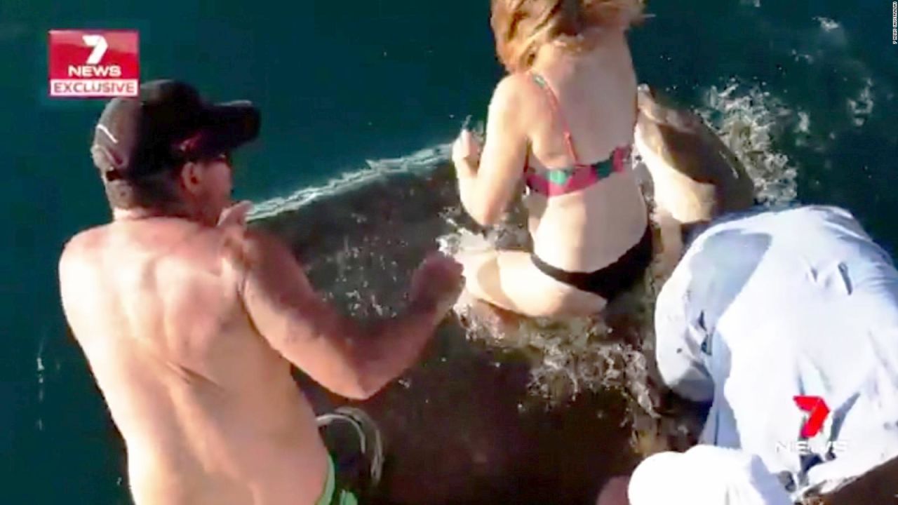 CNNE 539924 - tiburon muerde a una mujer en australia
