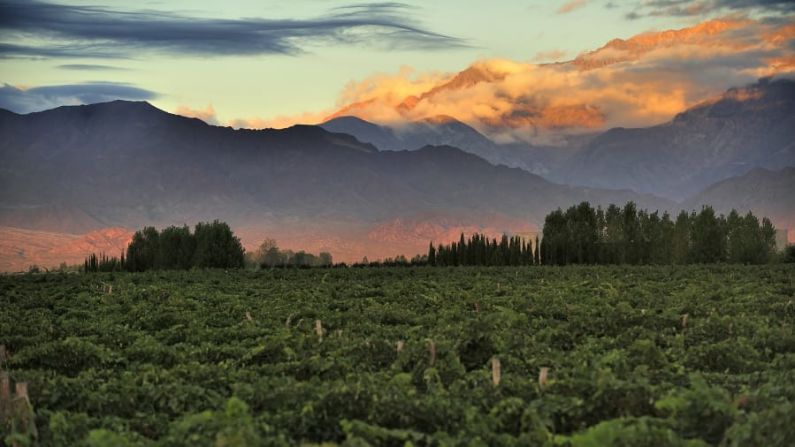 Mendoza (Argentina). Fuera de la ardiente temporada de verano, idealmente en abril, es el mejor momento para visitar este lugar, cuando los recorridos por las mejores bodegas, con la opción de comer y beber al aire libre, no son sofocantes.