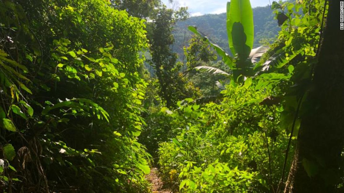 El área alrededor del sistema de cuevas donde los niños y su entrenador están atrapados es muy arbolada y de difícil acceso.