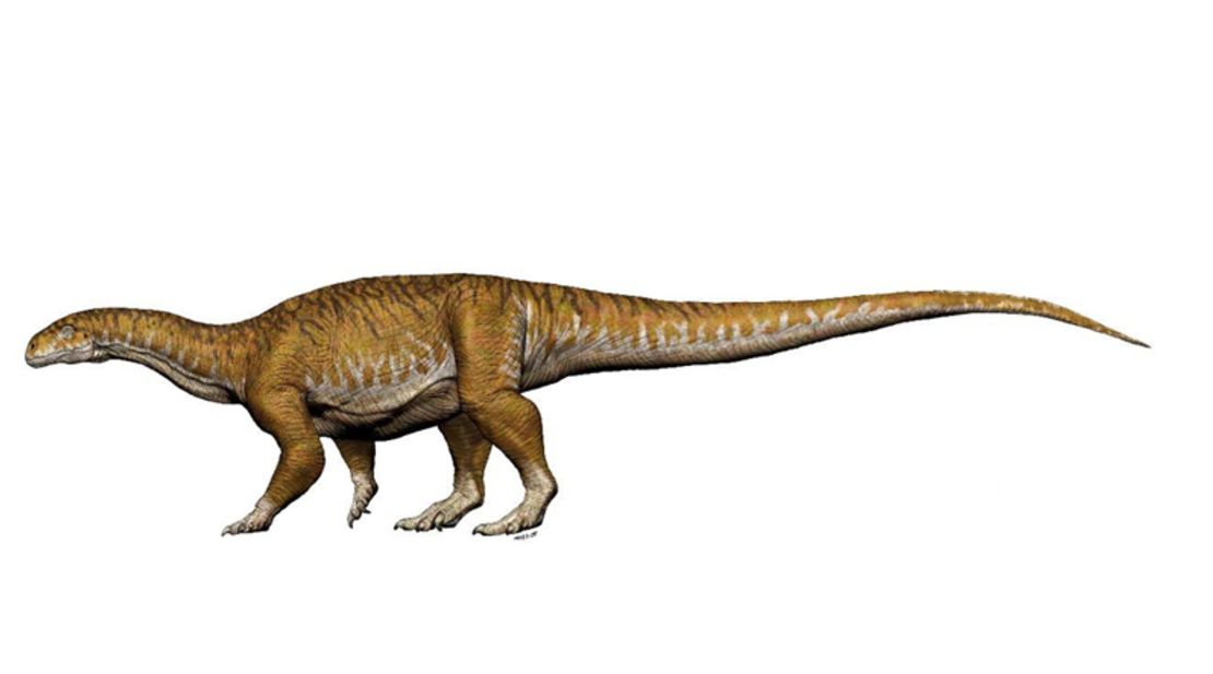 Recreación de Ingentia Prima, el primer dinosaurio gigante.