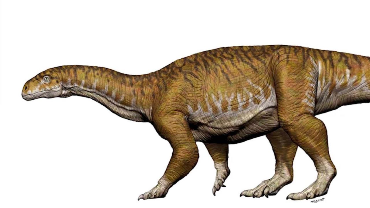 CNNE 545529 - asi descubrieron el primer dinosaurio gigante en argentina