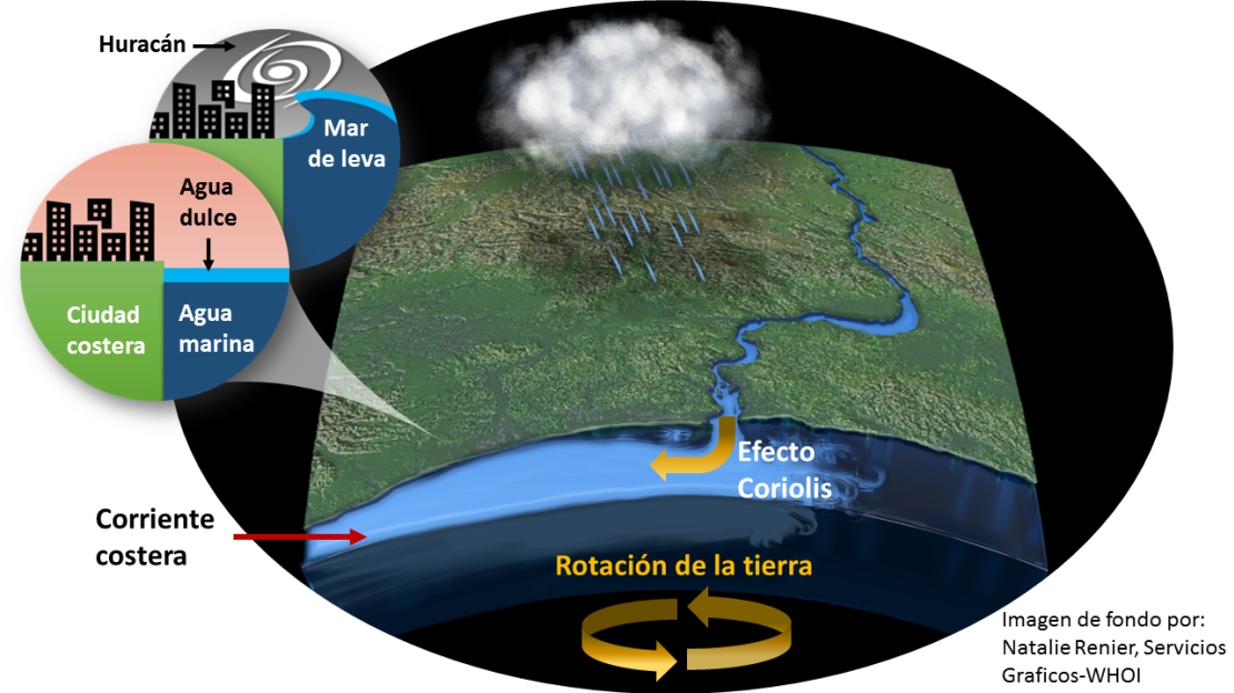 CNNE 545772 - graphicsummary_riverdischarge&sealevel_fg