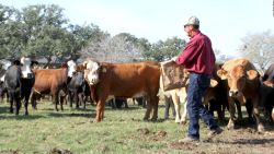 CNNE 547567 - ayuda para agricultores en estados unidos