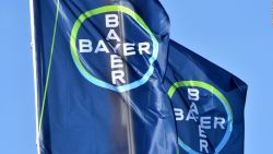 CNNE 548122 - bayer hace polemicos pagos a medicos por anticonceptivos