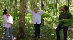 CNNE 548705 - amlo planea sembrar arboles en area del tamano de libano