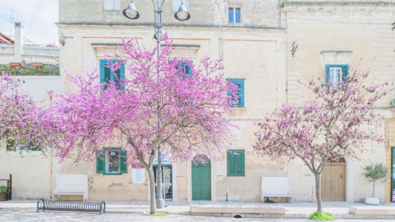 Ciudad histórica. Scarchilli estaba intrigado por la historia de Matera. "Matera es una de las ciudades más antiguas de Italia, proviene del Paleolítico y hasta la Edad Media", le dice a CNN Travel.