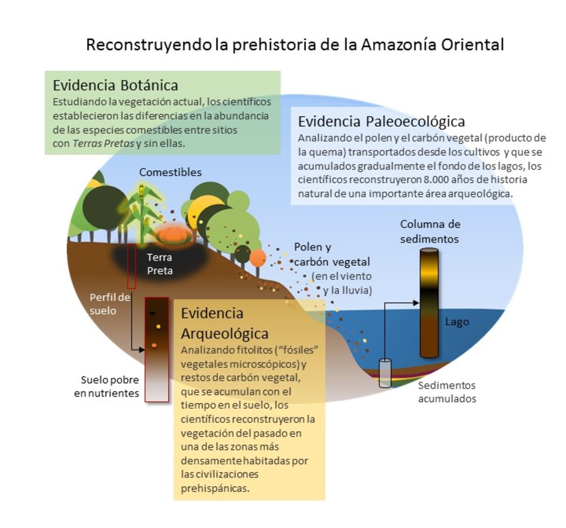 CNNE 550313 - fguerrero_despensaamazonica_fig_2_cnnformat