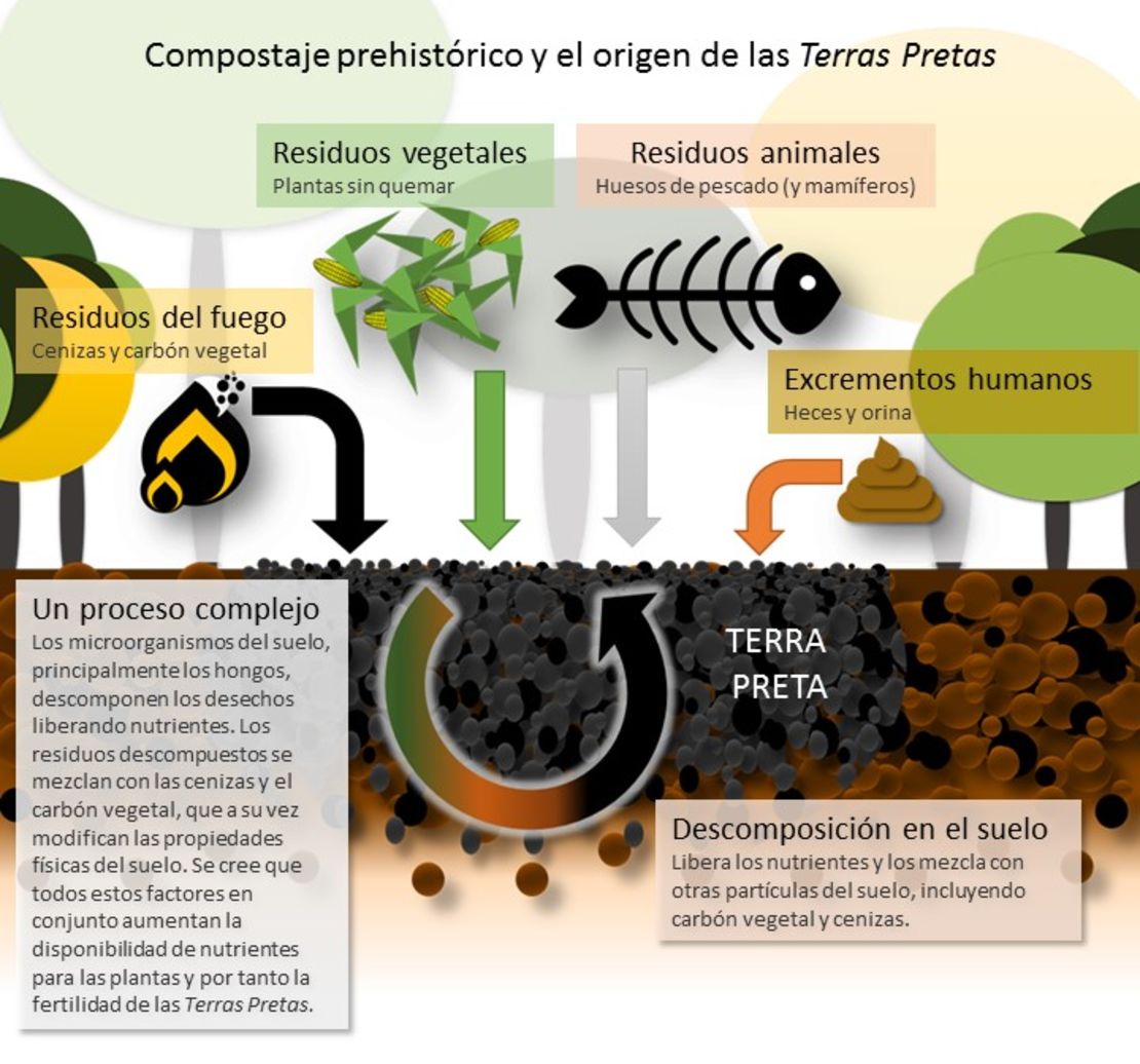 CNNE 550314 - fguerrero_despensaamazonica_fig_3_cnnformat