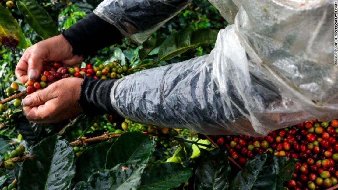 CNNE 551663 - 180801104329-colombia-coffee-780x439