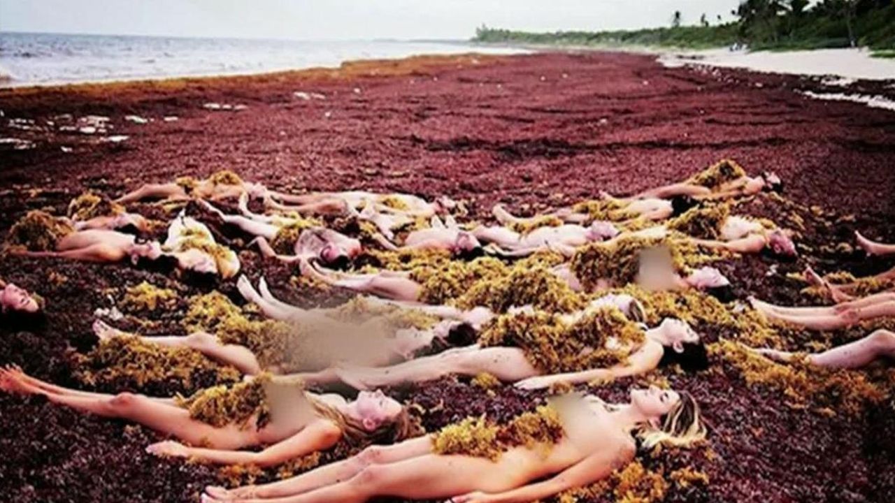 CNNE 551751 - tunick fotografio desnudos en el sargazo de tulum