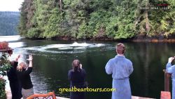 CNNE 553146 - estos turistas tuvieron el desayuno de su vida, con ballenas jorobadas incluidas