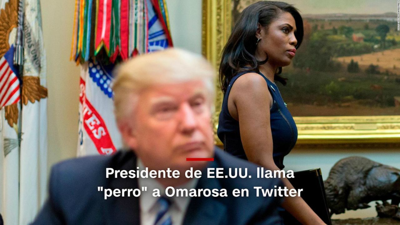 CNNE 553538 - #minutocnn- trump llama "perro" a omarosa en un tuit