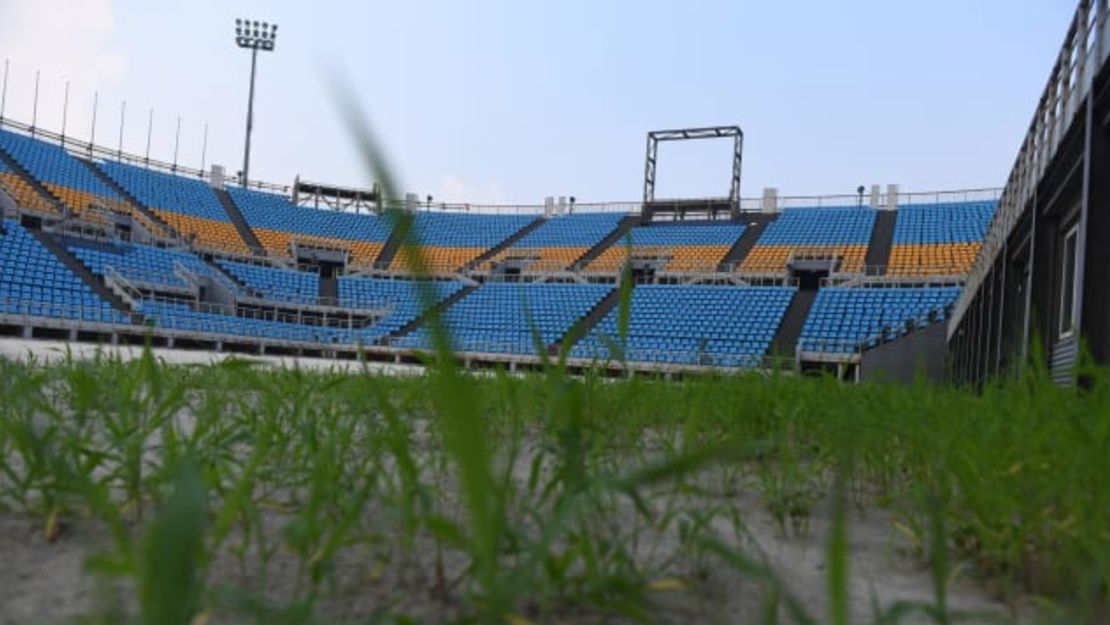 Pasto creciendo salvajemente en el estadio de voleibol playa.