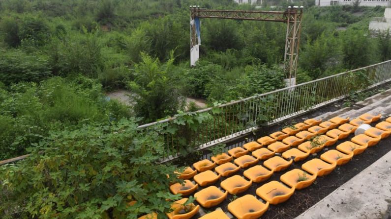 Más árboles y malezas crecen libremente en la línea de meta de la pista de BMX utilizada en los Juegos Olímpicos.