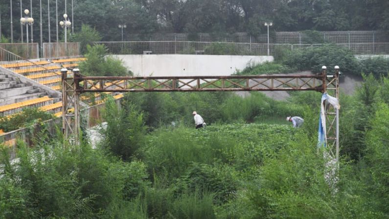 Regreso a la naturaleza: a medida que la naturaleza recupera las estructuras artificiales, la gente planta verduras cerca de la antigua línea de meta de la pista de BMX utilizada para los Juegos.