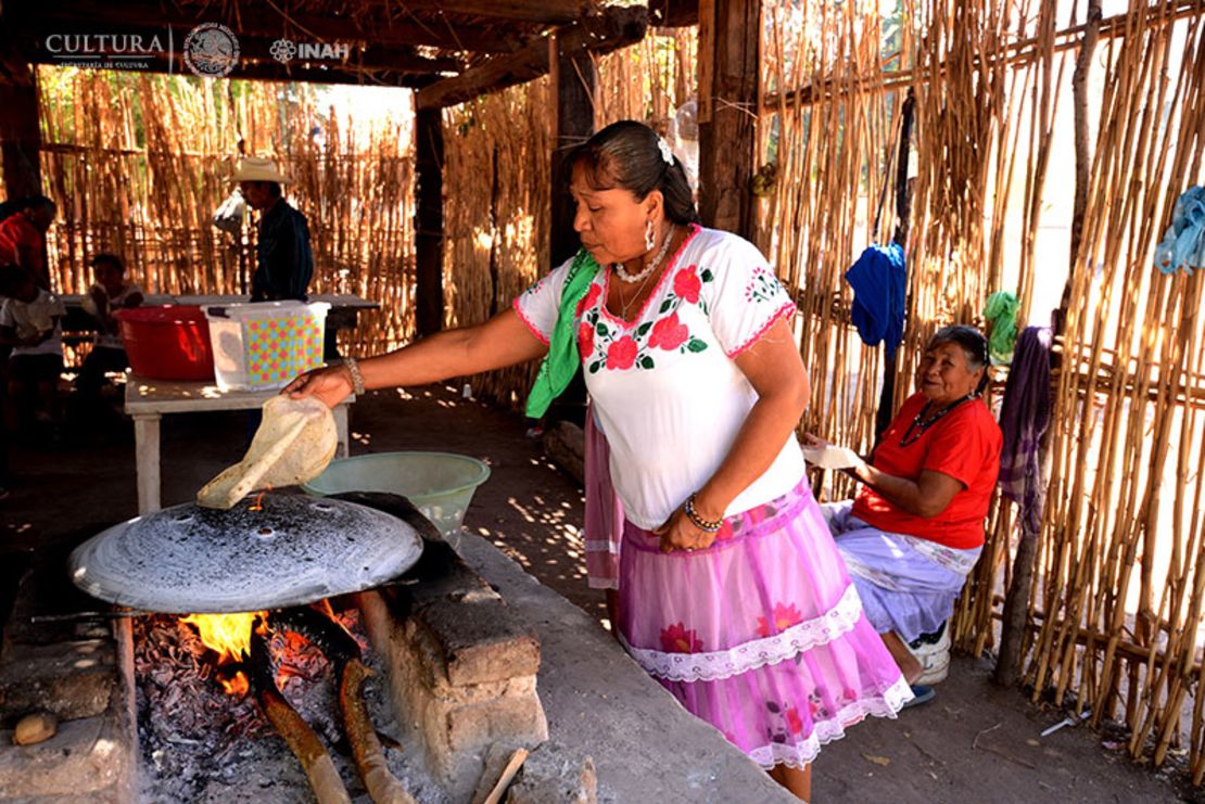 El experto dijo que existe una relación lingüística con la naturaleza.