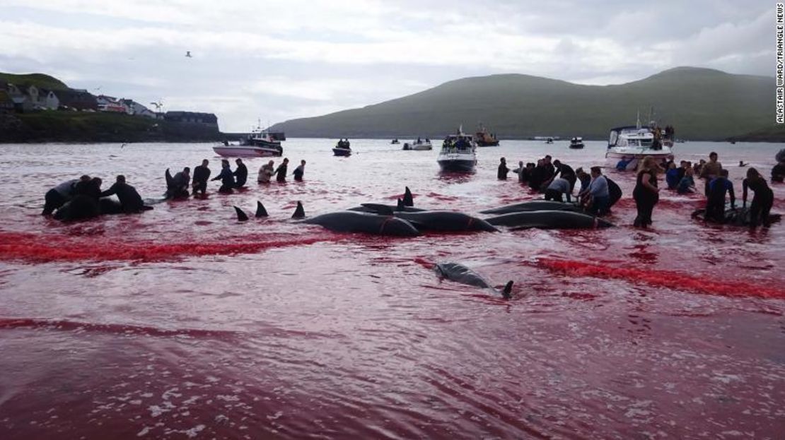 Personas participando en la caza de ballenas el 30 de julio.