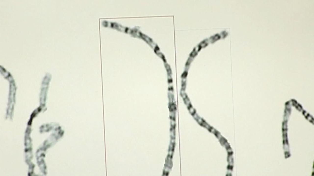 CNNE 555049 - fecundacion in vitro- el debate etico del analisis genetico