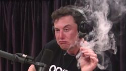 CNNE 560736 - mira a elon musk introspectivo tras fumar marihuana