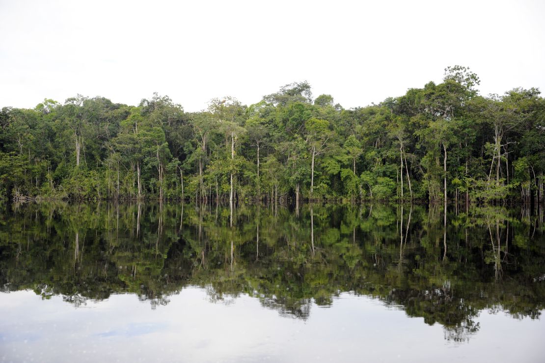 La cuenca del río Orinoco en Puerto Ayacucho, estado Amazonas.