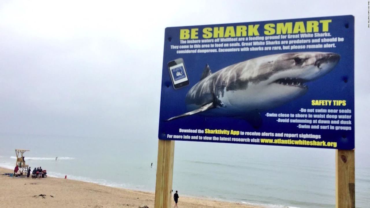 CNNE 569739 - fatal ataque de tiburon a surfista en massachusetts