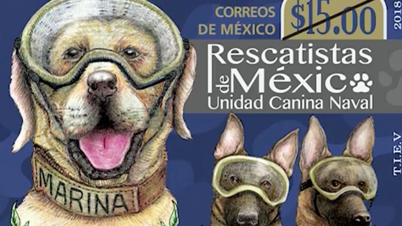 CNNE 571440 - estampilla honra a los perros rescatistas en mexico