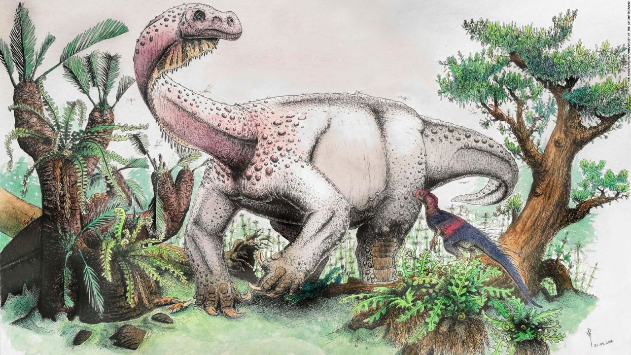 CNNE 574638 - hallan restos de un dinosaurio llamado "trueno gigante"