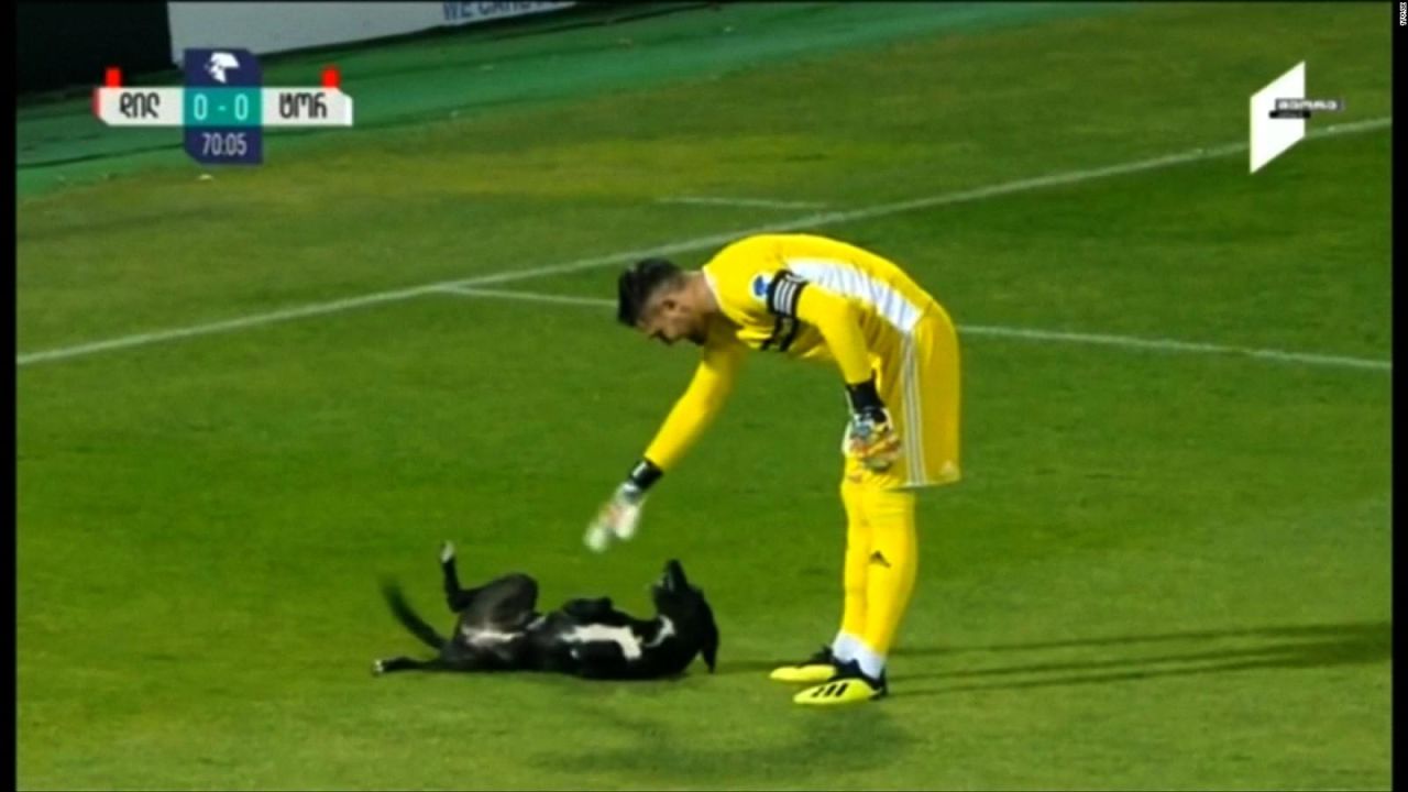 CNNE 576118 - un perro jugueton invade campo de futbol