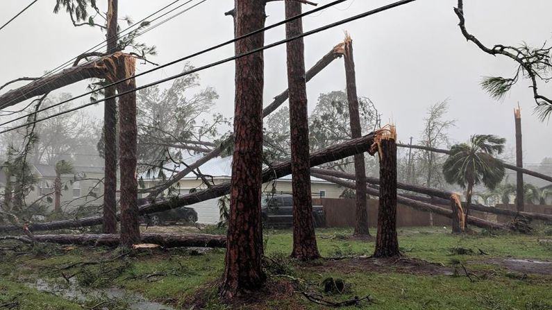 Árboles de pino se quebraron sobre un patio en Port St. Joe, Florida, el 10 de octubre.