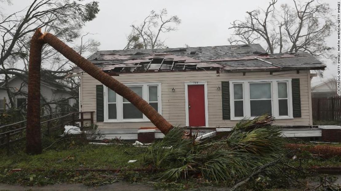 El huracán Michael dejó destrozado el techo de una casa en Panama City y quebró una palmera.