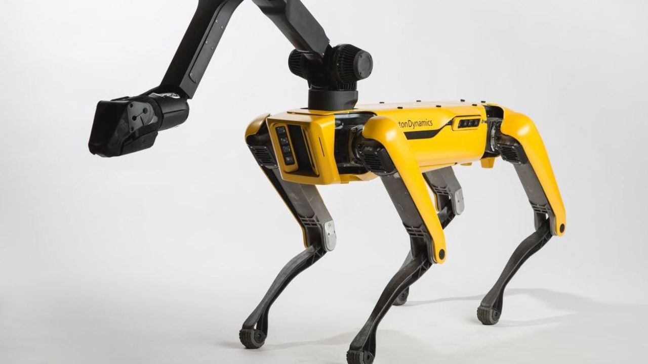 CNNE 578368 - #esviral- este perro robotico puede bailar en serio