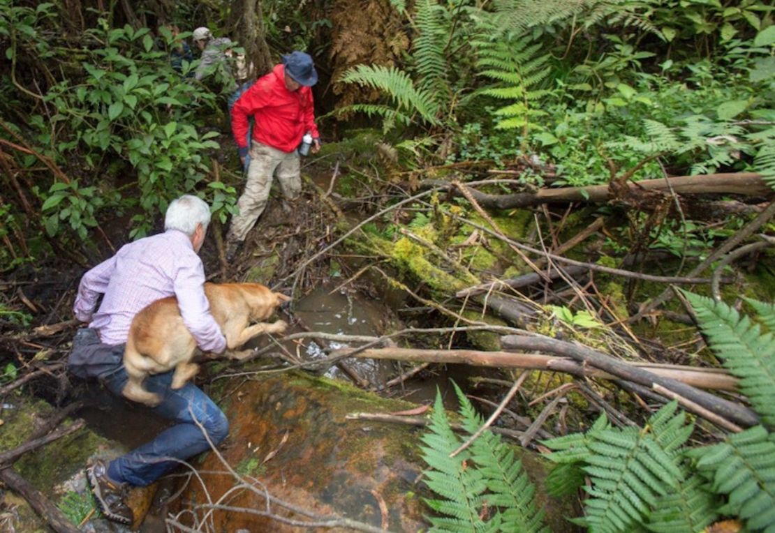 El alcalde Enrique Peñalosa estuvo acompañado de este perro durante su travesía por la zona boscosa en los cerros orientales de Bogotá.